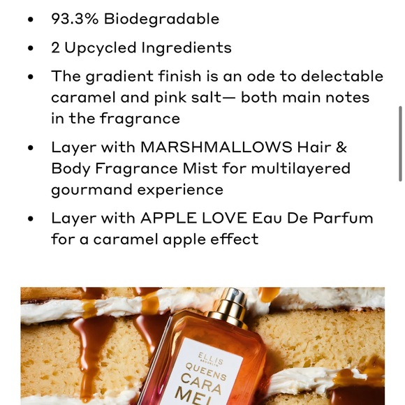 NIB Ellis Brooklyn queens caramel $100 - Picture 7 of 8